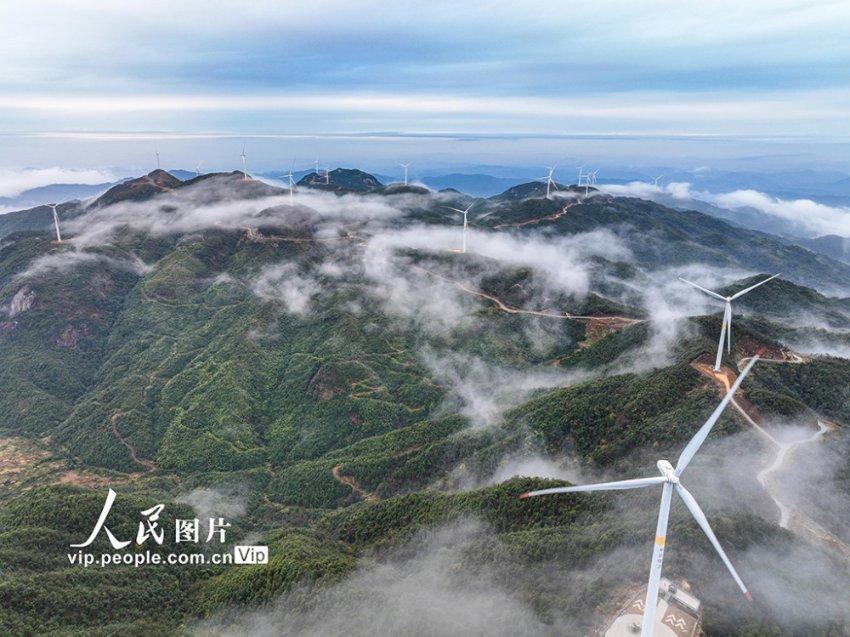 探索蜗牛世界,畅享自考学不进去怎么办?问答乐趣!